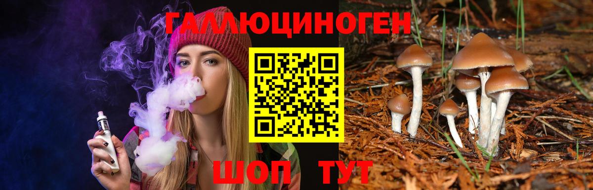 Слободской  Псилоцибиновые грибы мицелий  Вход с VPN 